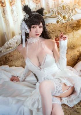 看电视剧免费